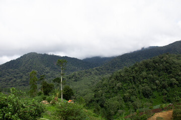 Fototapeta na wymiar Mountain view in tropical area with cloudy weather