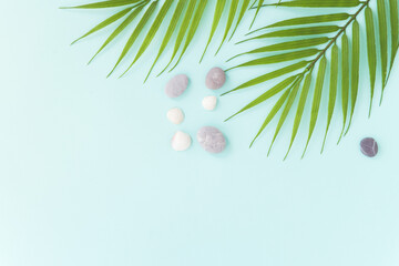 Fototapeta na wymiar palm tree leaves and pebbles blue background