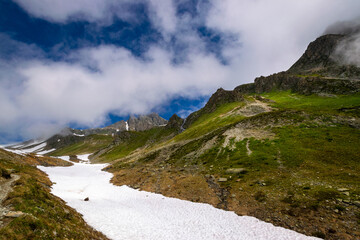 alpine meadow in the mountains with snow during summertime (Vorarlberg, Austria)