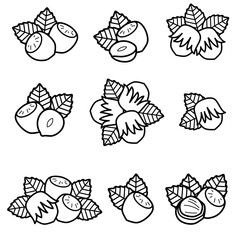 Hazelnut nuts set. Collection icon hazelnut nuts. Vector