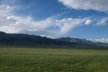 Fototapeta na wymiar Mountain range and green grassland in Xinjiang China