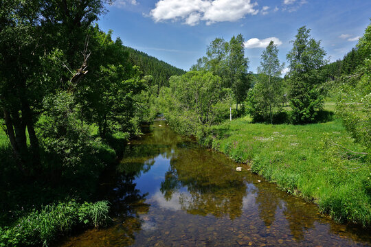 Die Breg bei V&ouml;hringen im S&uuml;dschwarzwald, Deutschland