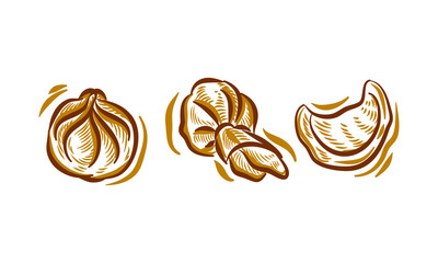 Set of Dim Sum Dumpling Illustration Hand Drawn for branding logo restaurant cafe element
