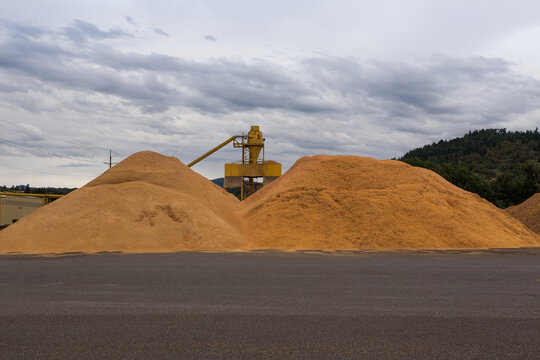 Large Piles Of Sawdust At A Wood Processing Plant