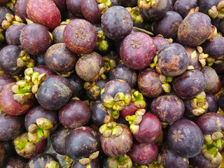 Stack of the mangosteen fruit is being sold on fresh fruit market.