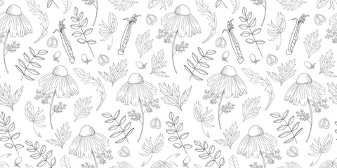 Fototapeta na wymiar Simple delicate floral pattern. Thin lines. Summer fabric, textile and packaging design. Medicinal herbs and wildflowers. Vintage herbs. Vector botanical illustration