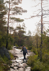 Obraz premium Mujer haciendo senderismo por los bosques de Noruega