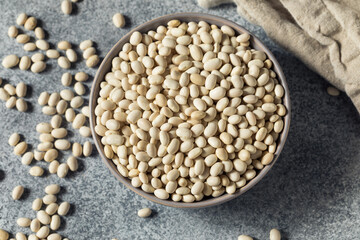Healthy Organic Dry White Beans