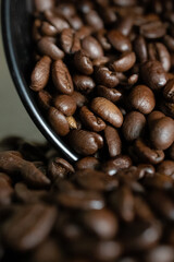 Kaffeebohnen Nahaufnahme Kaffeedose