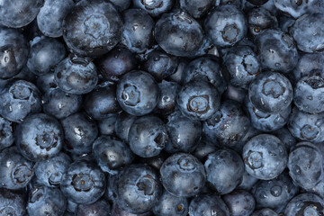 Blaubeeren Close Up Bildfüllend Detail