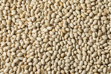 Healthy Organic Dry White Beans