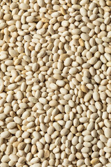 Healthy Organic Dry White Beans