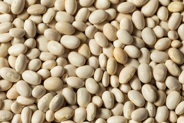 Healthy Organic Dry White Beans