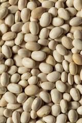 Healthy Organic Dry White Beans