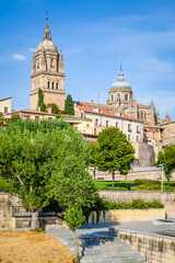 Fototapeta na wymiar Public garden and Cathedral in Salamanca