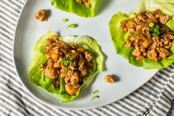 Homemade Ground Chicken Asian Lettuce Wraps