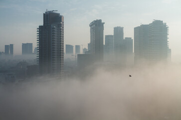Heavy fog in Tel Aviv. View above. The city over the clouds