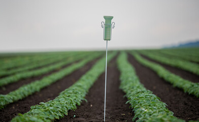Rain gauge in muddy soy field