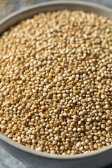 Raw Organic White Quinoa