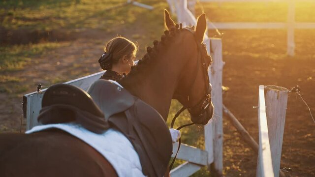 Horsewoman taking her Seal horse in the Sandy parkour through the wooden door. Horse walking obediently with his master. Light drizzling. Sunset golden hour time. 