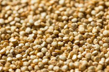 Raw Organic White Quinoa