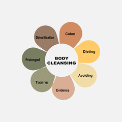 Diagram concept with Body Cleansing text and keywords. EPS 10 isolated on white background