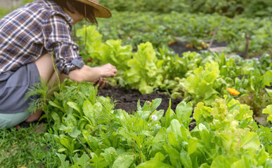 A young girl in a straw hat is engaged in gardening work.