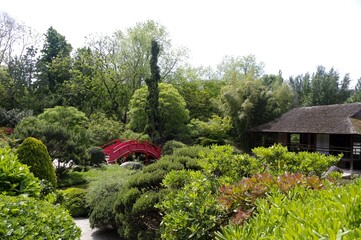 Fototapeta na wymiar Jardin japonais à Toulouse