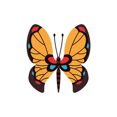 Exotic color butterfly. Hand drawn moth wings or insect. Cartoon tropical animal. Isolated vector icon