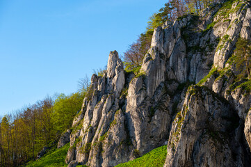 Krajobraz Jury Krakowsko Częstochowskiej / the Polish Jurassic Highland