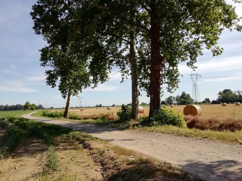Liscate, Milano, strada sterrata nei campi