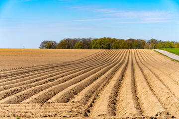 View of the plowed fields in the spring for growing