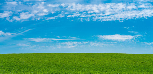 Green hill with dreamy clouds and blue sky in the background.