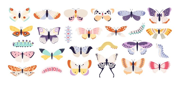 Decorative butterflies and caterpillars. Cute exotic butterfly, moth and larva. Colorful summer flying insects with wings, tattoo vector set