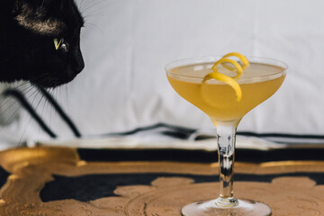 black cat with green eyes looking at yellow lemon cocktail on gold and black tray with white