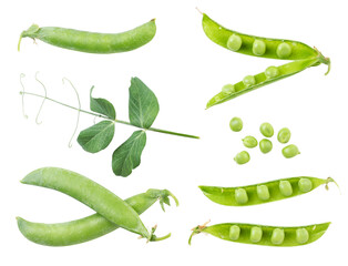 Set of green pea pods, twig and seed on a white background. Isolated