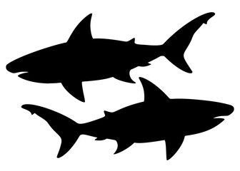 Big and predatory sharks. Vector image.