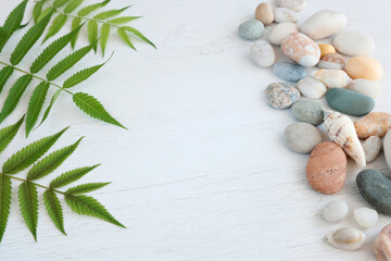 Green plants next to sea stones. Background for describing spa treatments. Palm leaves