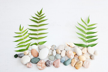 Green plants next to sea stones. Background for describing spa treatments. Palm leaves