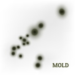 Black mold fungus