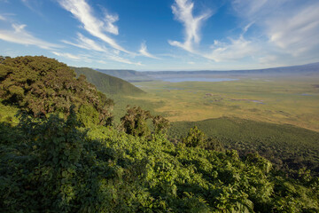 Forested crater rim and wall of the Ngorongoro Crater Tanzania Africa  - obrazy, fototapety, plakaty