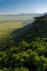 Forested crater rim and wall of the Ngorongoro Crater Tanzania Africa 