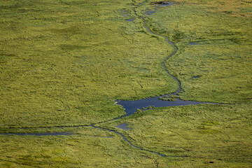 Elevated view of the crater floor Ngorongoro Crater Tanzania Africa 