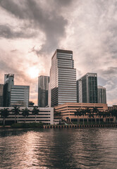 Fototapeta premium city skyline at sunset panorama Brickell miami florida sky buildings palms sea water business clouds river sea