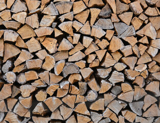 Stack pile of firewood oak wooden logs
