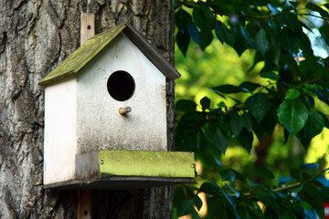 Birdhouse on tree