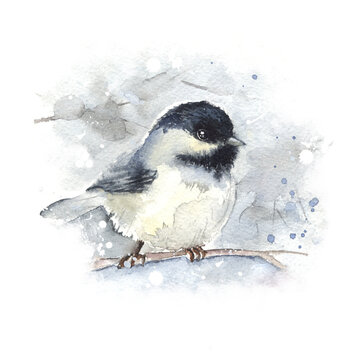 Titmouse on a branch. Watercolor illustration. Greeting card.