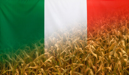 Italy Nutrition Concept Corn field with fabric Flag
