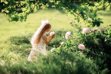 little girl sniffs flowers. A child takes care of peonies in the summer