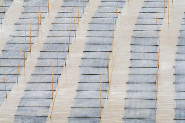 Fototapeta premium China Fujian Province Xiapu Dongbi. Seaweed harvesting is a big industry in this area growing on these nets laid out in rows.